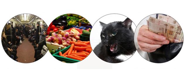 Methoden der Infektion mit Parasiten