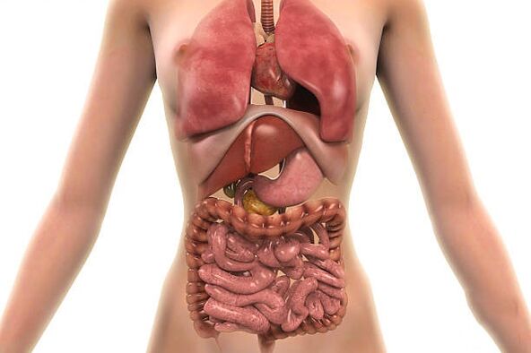 Parasiten im menschlichen Körper