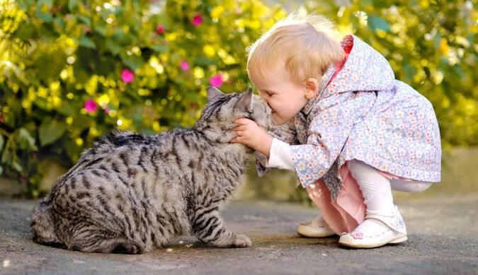 Ein Kind küsst eine Katze und infiziert sich mit Würmern